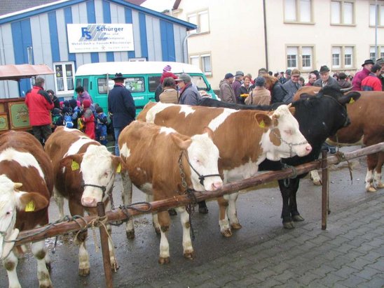 Viehmarkt Brettheim